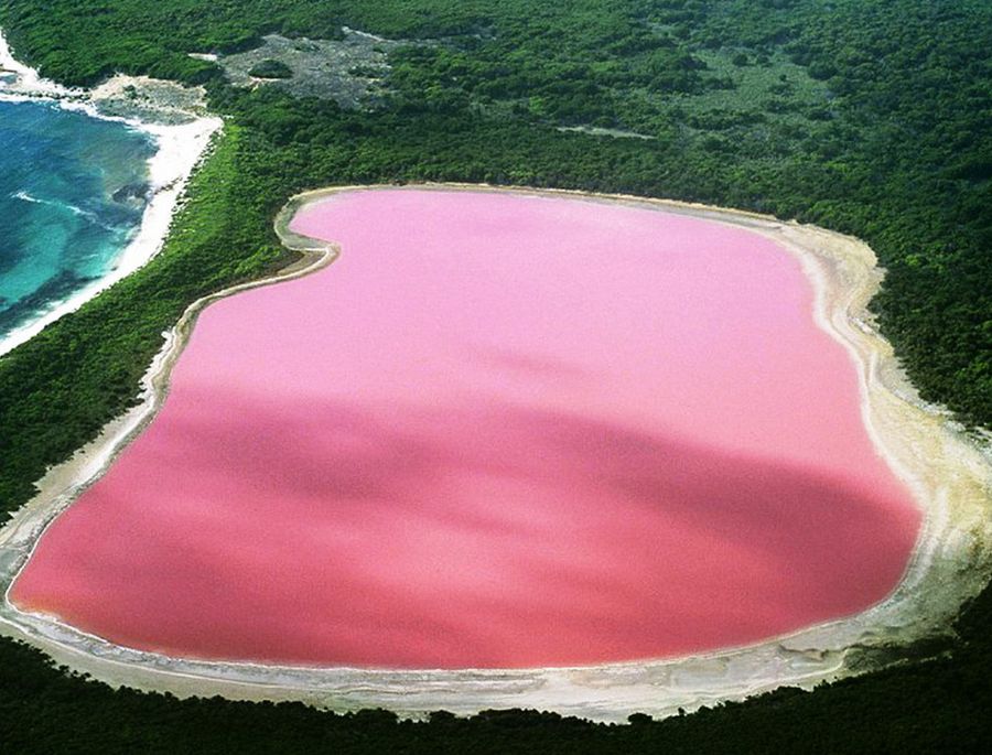 Với kết cấu đặc biệt, việc bảo vệ hệ sinh thái của hồ được xem là một việc vô cùng quan trọng