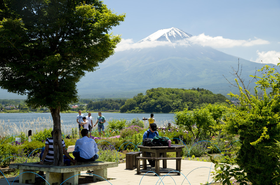 Công viên Oishi, tọa lạc tại phía Tây hồ Kawaguchi, là nơi mà bạn có thể tận hưởng không gian yên bình, trong lành