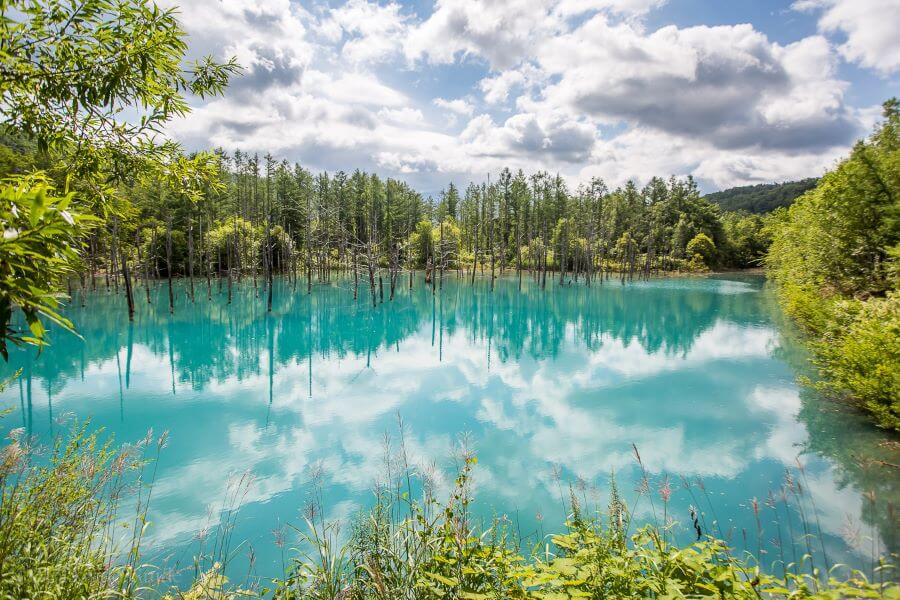 Hồ Xanh Biei - Điểm đến đầy mê hoặc tại Hokkaido Nhật Bản