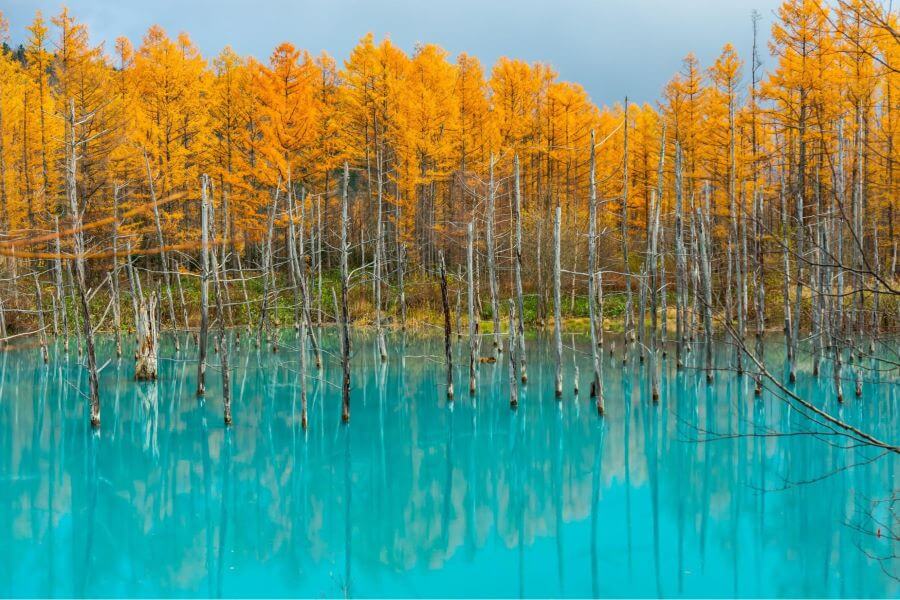 Hồ Xanh Biei là một điểm đến du lịch Nhật Bản nằm ở thị trấn Biei, tỉnh Hokkaido