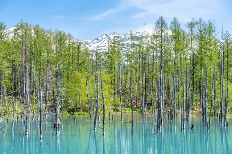 Hồ Xanh Biei với màu nước xanh biếc độc đáo, hồ nước này mang một vẻ đẹp huyền ảo và thu hút du khách từ khắp nơi trên thế giới