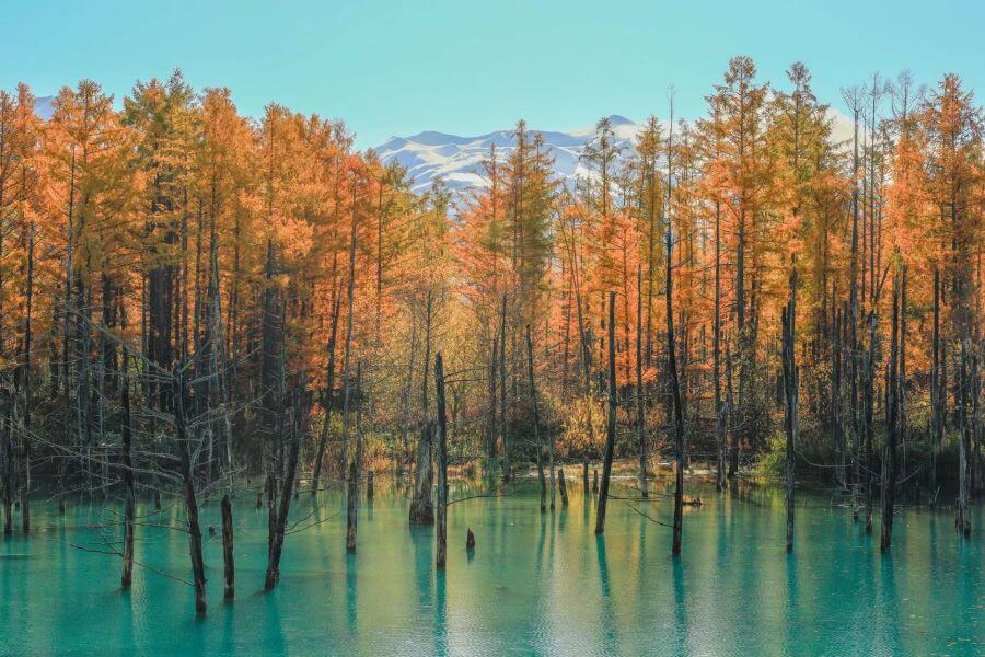 Hồ Xanh Biei thu hút du khách bởi màu xanh ngọc bích kỳ ảo, tựa như một bức tranh thủy mặc