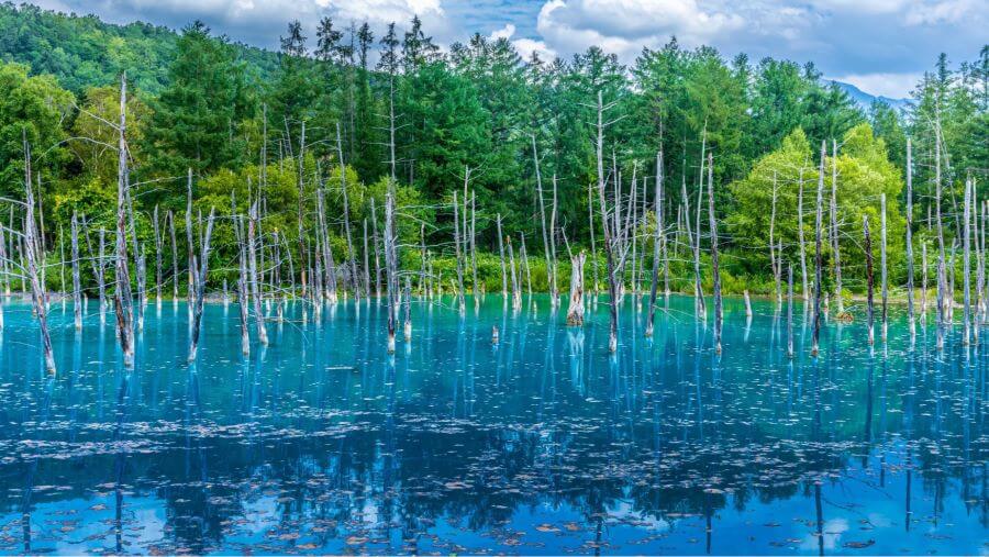 Hồ Xanh Biei không chỉ nổi tiếng với màu xanh ngọc bích kỳ ảo mà còn bởi vẻ đẹp hoang sơ, tĩnh lặng đến lạ thường