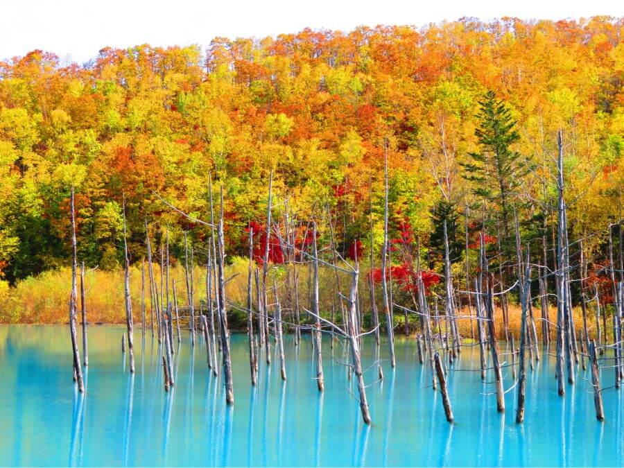 Mỗi mùa, Hồ Xanh lại mang một vẻ đẹp riêng biệt, thu hút du khách theo những cách khác nhau