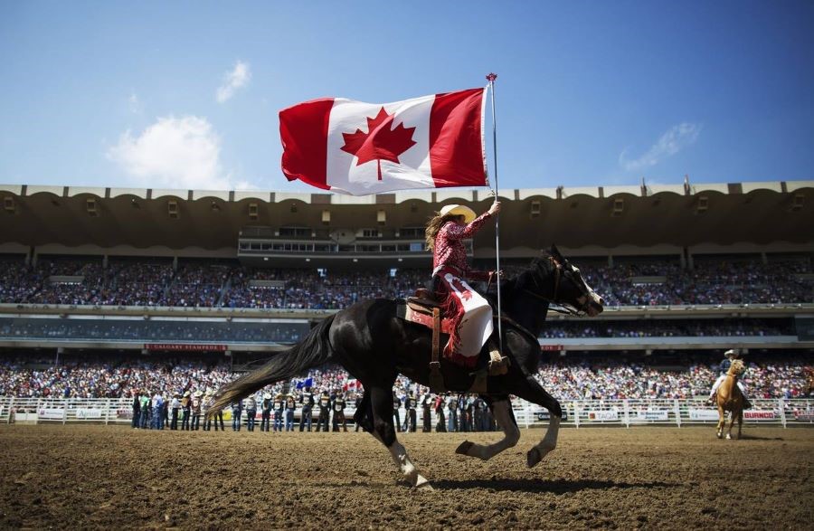 Lễ hội Calgary Stampede - Lễ hội cao bồi lớn nhất thế giới được tổ chức tại thành phố Calgary, Canada