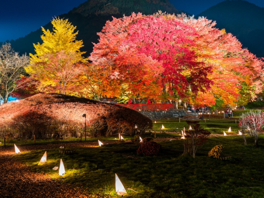 Lễ hội mùa thu Fuji Kawaguchiko, một sự kiện thường niên được tổ chức vào tháng 11 tại bờ bắc hồ Kawaguchi