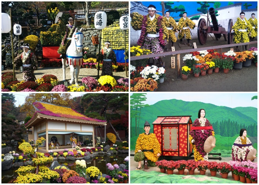 Tháng 11 tại Nhật Bản từ lâu đã nổi tiếng là mùa của những bông hoa cúc vàng tươi