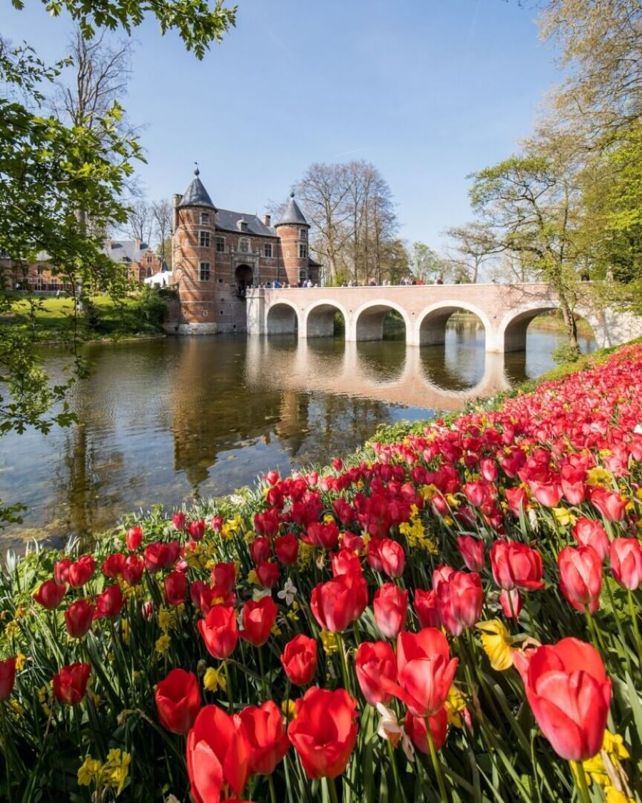 Với hơn 1.000m² nhà kính chính là nơi bạn sẽ được chiêm ngưỡng những tác phẩm nghệ thuật cắm hoa tinh tế do bàn tay tài hoa của các nghệ nhân Bỉ sáng tạo