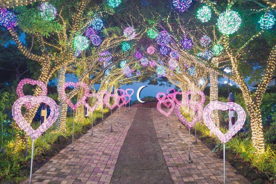 Khi màn đêm buông xuống, vườn thảo mộc khoác lên mình một tấm áo mới lung linh huyền ảo với hàng ngàn ánh đèn đủ màu sắc