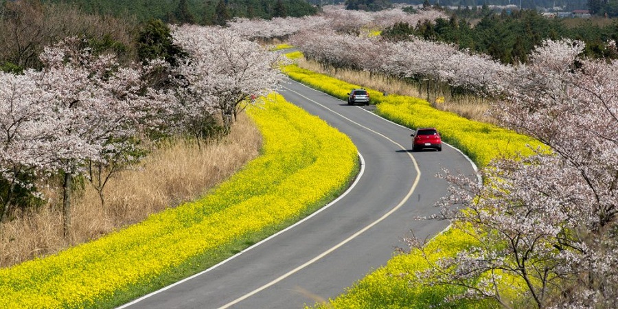 Tour du lịch Hàn Quốc tại Top ten Travel