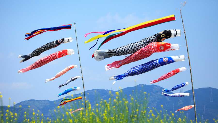 Lễ hội Cá chép Koinobori là một trong những lễ hội đặc biệt nhất, góp phần tạo dấu ấn cho mùa xuân Nhật Bản