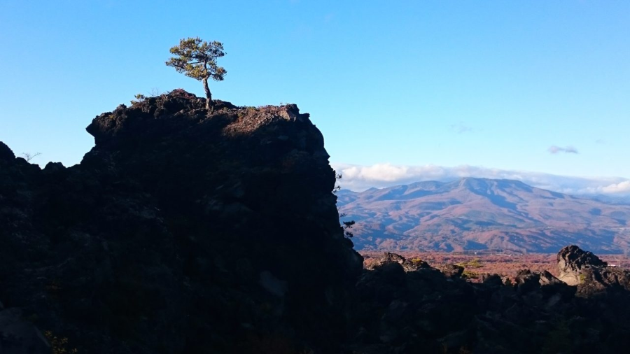 Sakurajima sở hữu vẻ đẹp hoang sơ với những vách đá dựng đứng, những bãi đá đen nhánh và những cánh rừng nguyên sinh bao phủ
