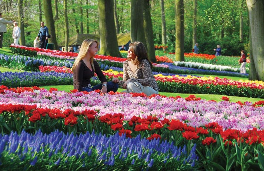 Điểm đặc biệt nhất ở Công viên Keukenhof mà du khách không nên bỏ qua đó chính là Lễ hội hoa Tulip 