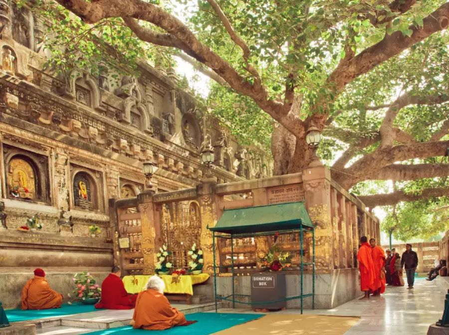 Bodh Gaya - Bồ Đề Đạo Tràng là nơi Đức Phật đã thiền định trong vòng 49 ngày và giác ngộ