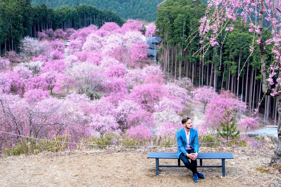 Núi Yoshino - điểm check-in lý tưởng dành cho các tín đồ sống ảo khi đi Nhật mùa anh đào 