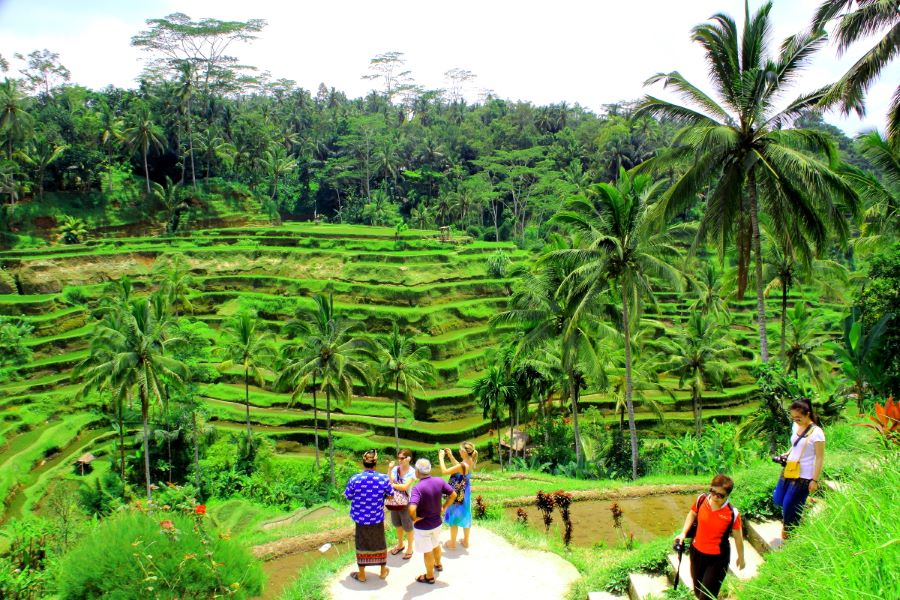 Những cánh đồng ruộng bậc thang Tegalalang tại Bali được UNESCO công nhận là Di sản Văn hóa Thế giới