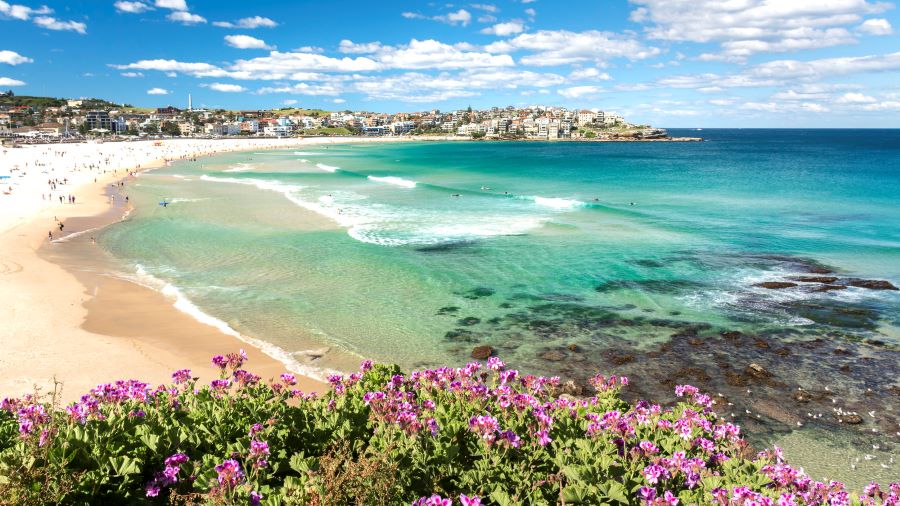 Bondi - Nơi tuyệt đẹp để tham quan ngắm cảnh biển