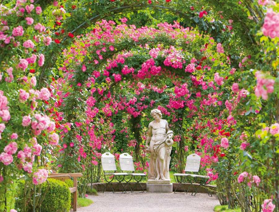 Các vườn hoa hồng được xây dựng dựa trên từng chủ đề khác nhau