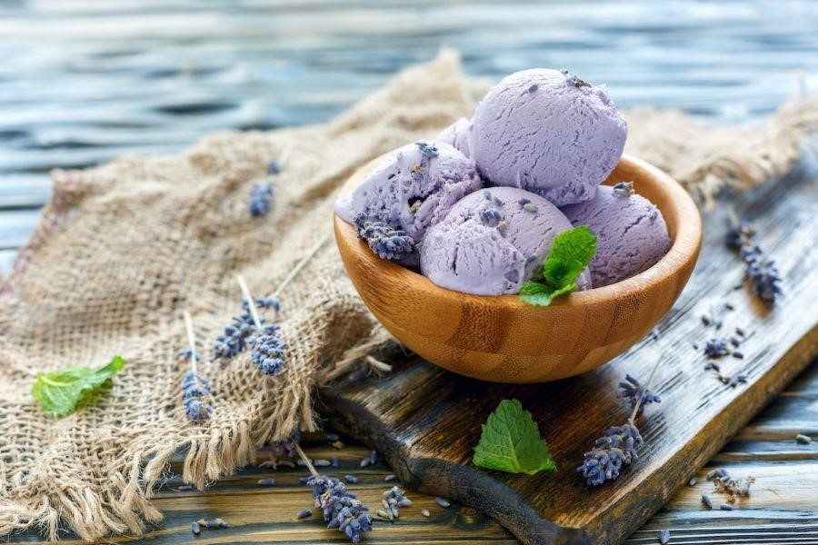 Khám phá mùa hoa Lavender khi đi du lịch Châu Âu
