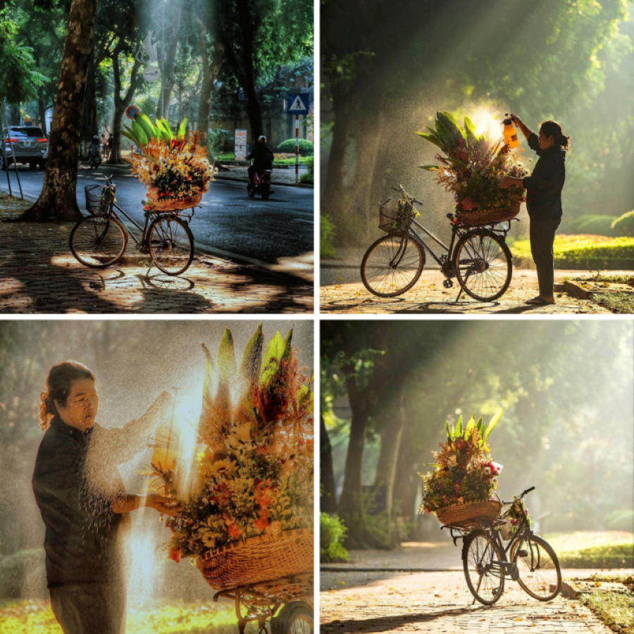 Những chiếc xe hoa chở mùa thu 