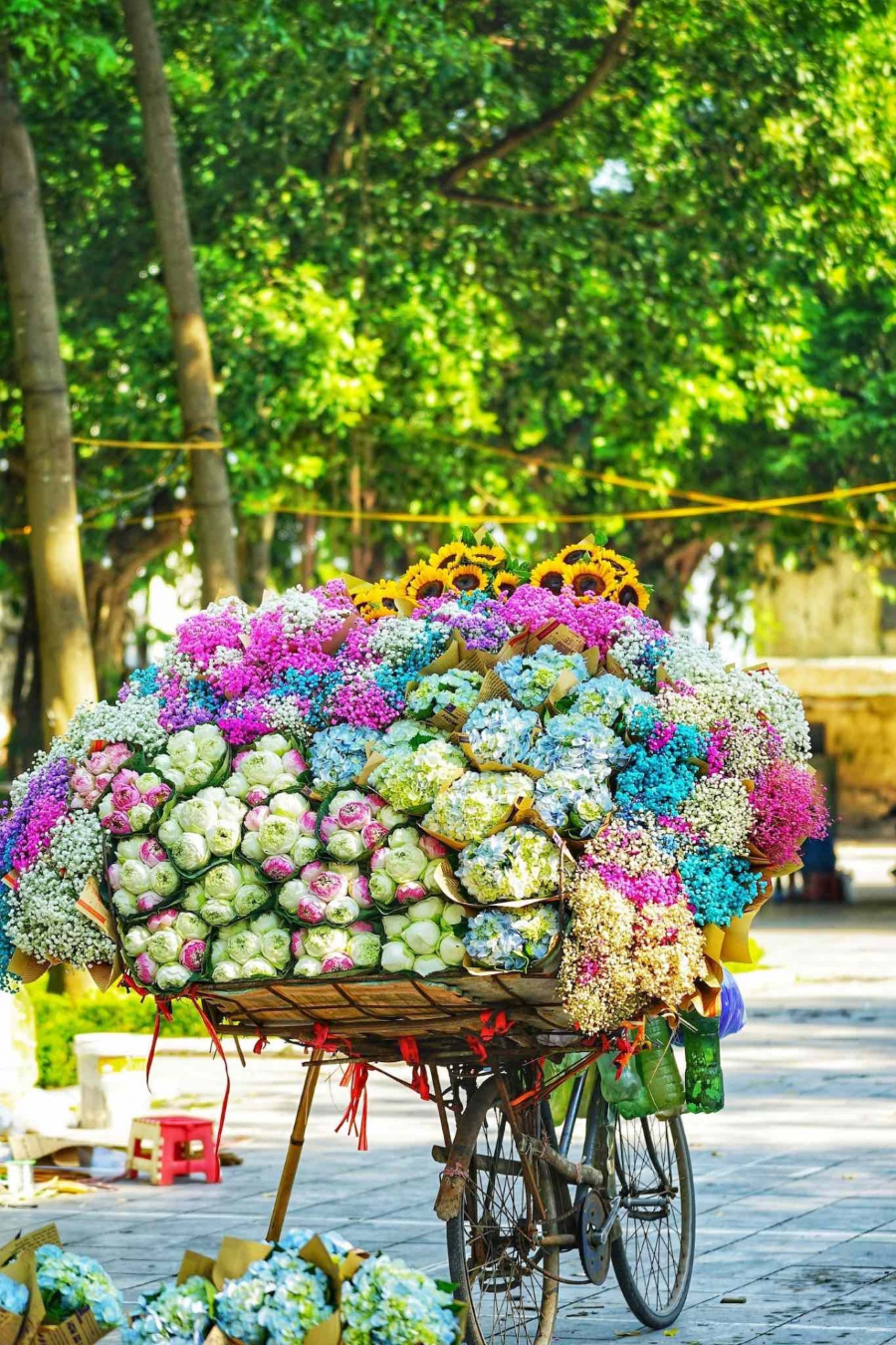 Mùa thu Hà Nội về, mang theo những chiếc xe hoa rực rỡ