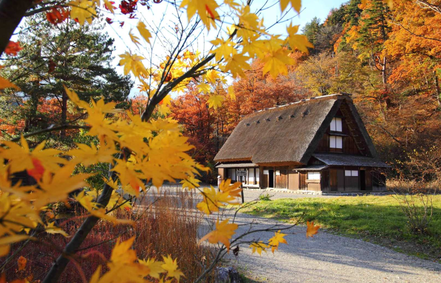 Đến với làng cổ Shirakawago để được đắm chìm trong vẻ đẹp cổ kính của đẩt nước Nhật Bản