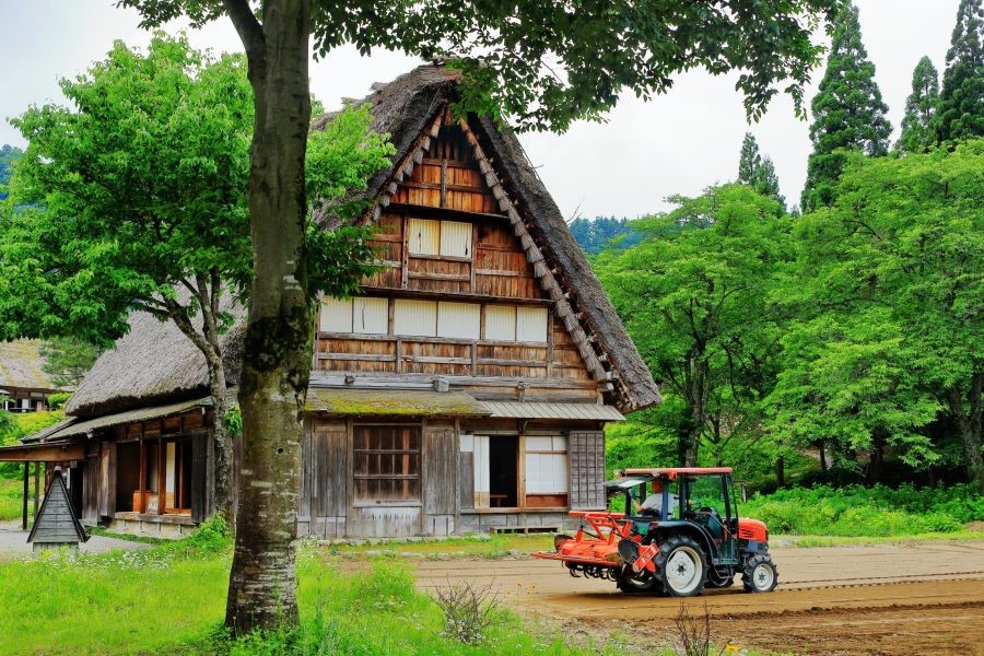 Không gian yên bình của làng cổ Shirakawago giữa rừng cây xanh thẳm 