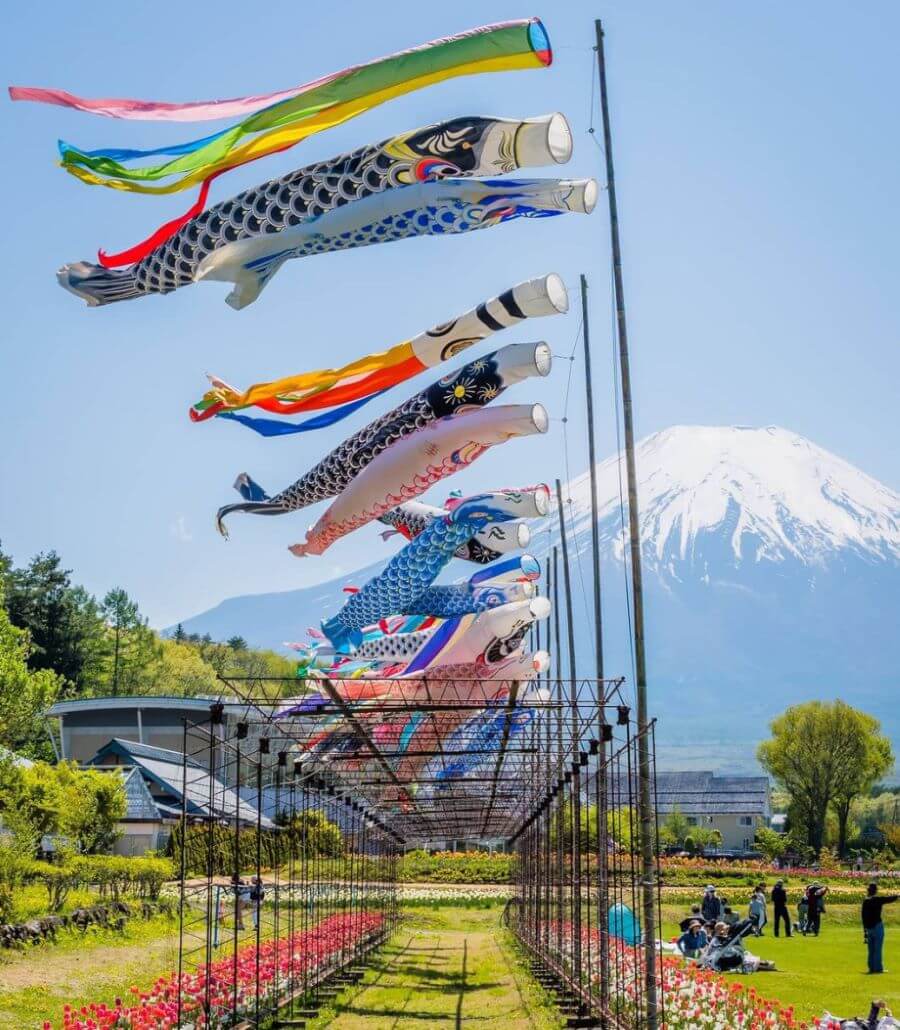 Lễ hội Koinobori không chỉ là dịp để các gia đình sum họp, mà còn là cơ hội để cộng đồng cùng nhau tham gia các hoạt động văn hóa truyền thống