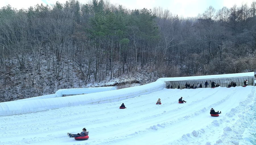 Với những con dốc phủ đầy tuyết trắng, bạn có thể thuê ván trượt, giày trượt và thỏa sức vui đùa trên tuyết