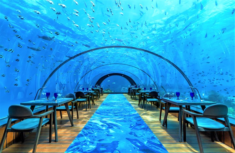 Đến Maldives, du khách có thể thưởng thức những bữa ăn đẳng cấp tại nhà hàng được xây ngầm bên dưới lòng đại dương
