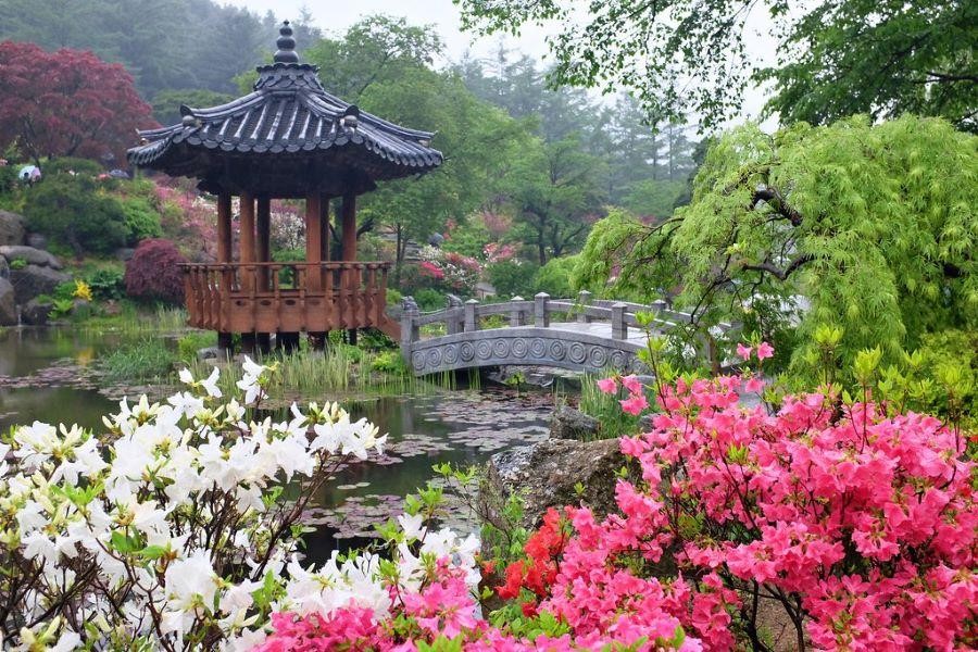 Khám phá Morning Calm - Khu vườn đẹp nhất Hàn Quốc cùng Top Ten Travel