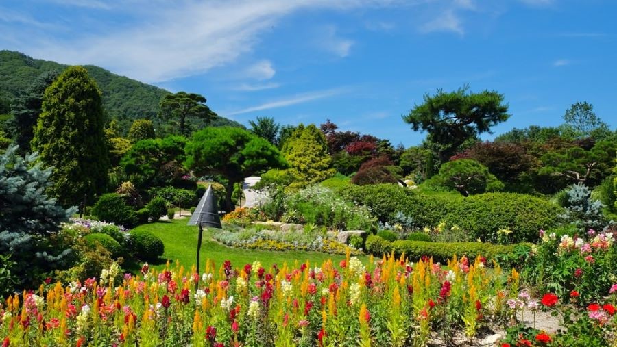 Khám phá Morning Calm - Khu vườn đẹp nhất Hàn Quốc cùng Top Ten Travel