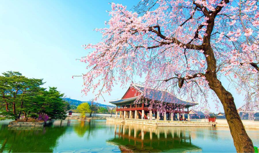 Cung điện Gyeongbokgung - một trong những địa điểm nổi bật nhất trong hành trình tour du lịch Hàn Quốc