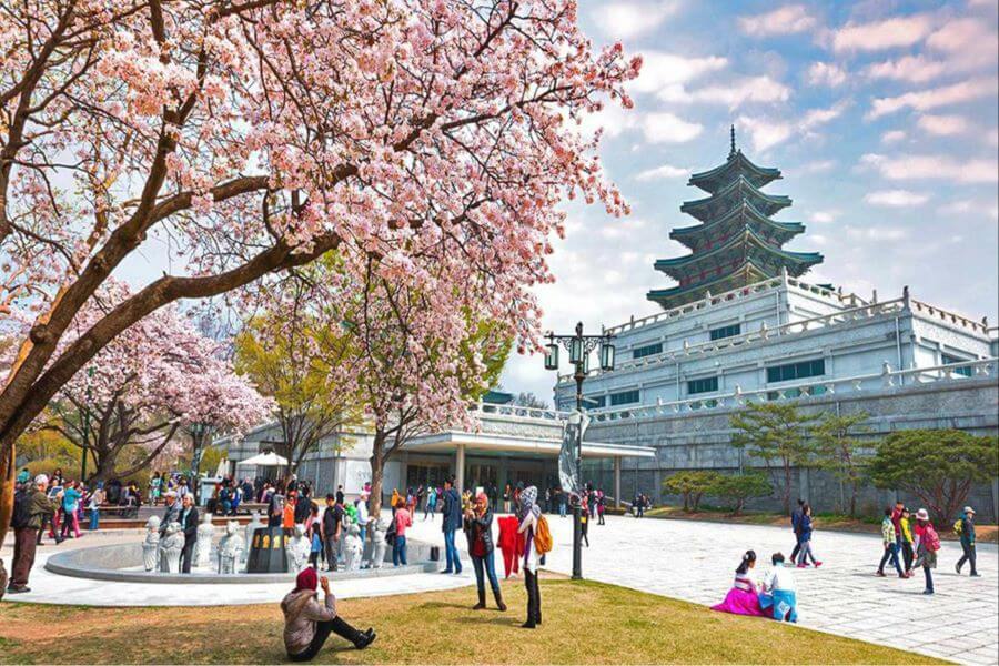 Bảo tàng Quốc gia Hàn Quốc là một nơi trưng bày những tác phẩm nghệ thuật và văn hóa độc đáo của đất nước này