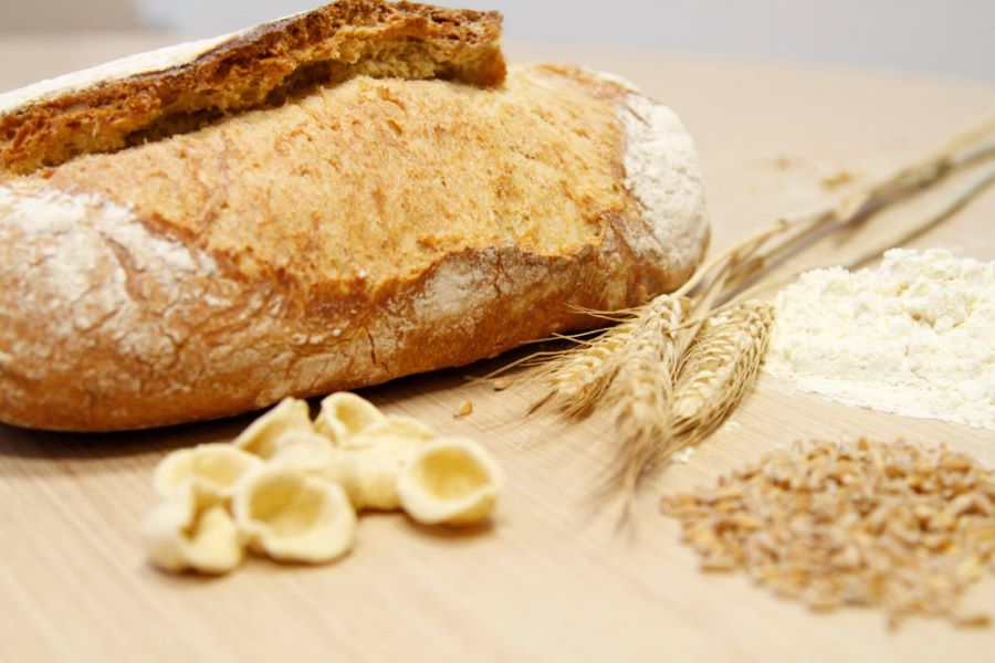 Lúa mì là một trong những loại thực phẩm bổ sung tinh bột được sử dụng chủ yếu
