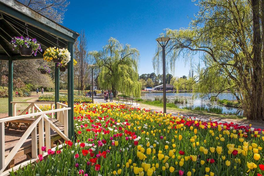 Với diện tích lên đến 35 hecta, Công viên Commonwealth thu hút đông đảo du khách gần xa