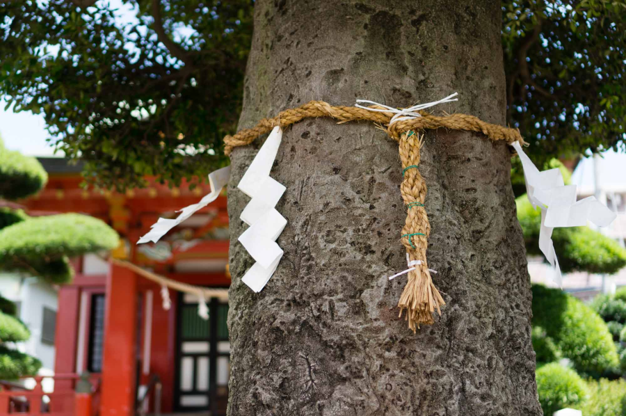 Mỗi loại shimenawa đều mang trong mình những ý nghĩa sâu sắc và được sử dụng trong những dịp lễ khác nhau