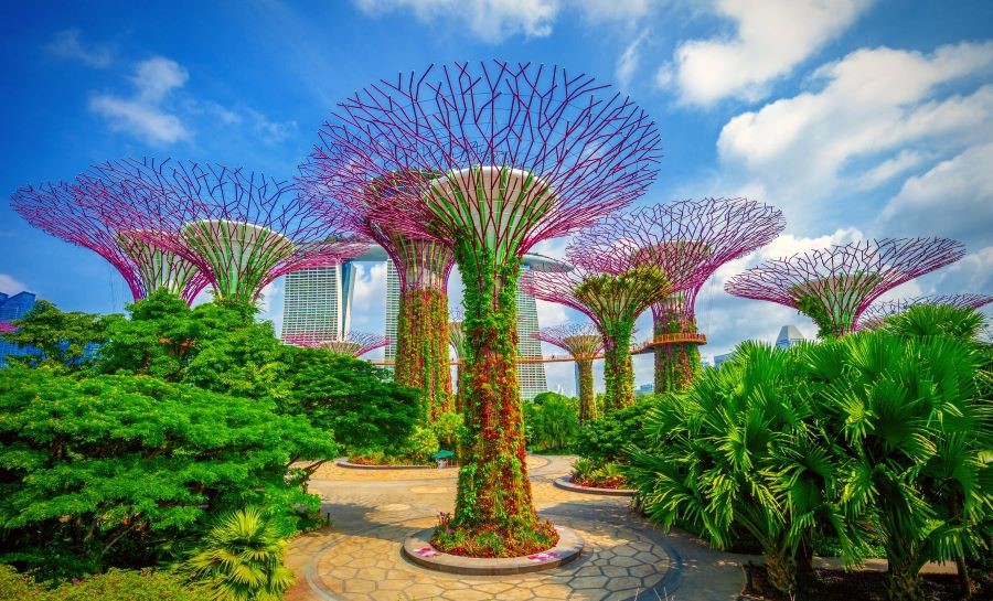 Gardens by the Bay là một điểm đến hoàn hảo cho những người yêu thích thiên nhiên và các kỹ thuật công nghệ tinh tế