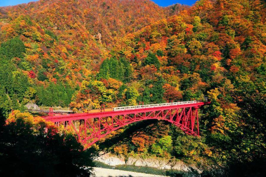 Check-in tại hẻm núi Kurobe là trải nghiệm mà bất kỳ du khách nào cũng nên một lần thử