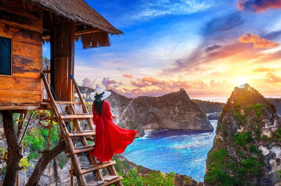 Tree House - những ngôi nhà trên cây với thiết kế cực kỳ ấn tượng