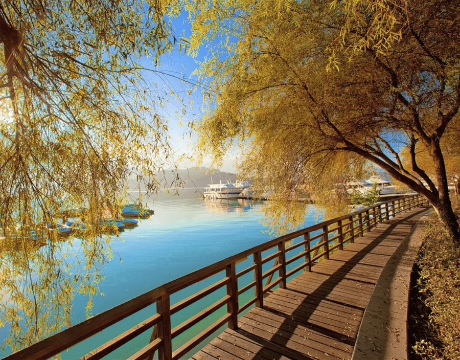 Khi thu về, Hồ Nhật Nguyệt như khoác lên mình tấm áo mới, rực rỡ sắc vàng