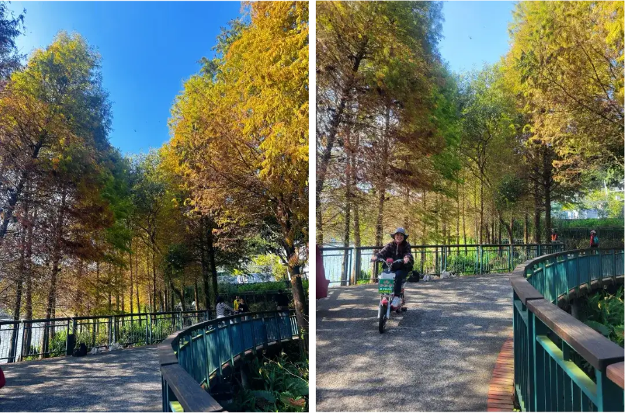 Với chiều dài khoảng 30km, con đường này là thiên đường cho những ai yêu thích việc đi bộ hoặc đạp xe