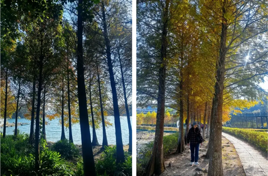 Với những ai yêu thích khám phá văn hóa và thiên nhiên, Hồ Nhật Nguyệt là một điểm đến không thể bỏ qua