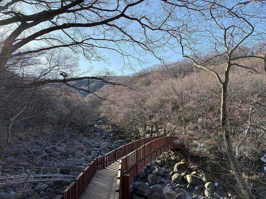 Eorimok là cung đường leo núi ngắn nhất trong số các cung đường lên đỉnh Hallasan