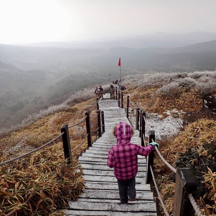 Yeongsil là cung đường leo núi ngắn nhất tại núi Hallasan, với chiều dài chỉ 3.7km