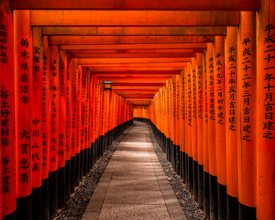 Hành động bước qua cánh cổng Torii được xem là hình thức thanh tẩy vô cùng quan trọng khi thăm viếng một ngôi đền