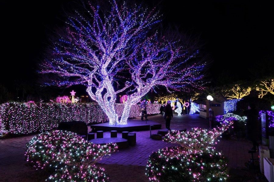 Chiêm ngưỡng khung cảnh giáng sinh lãng mạn tại trời Âu