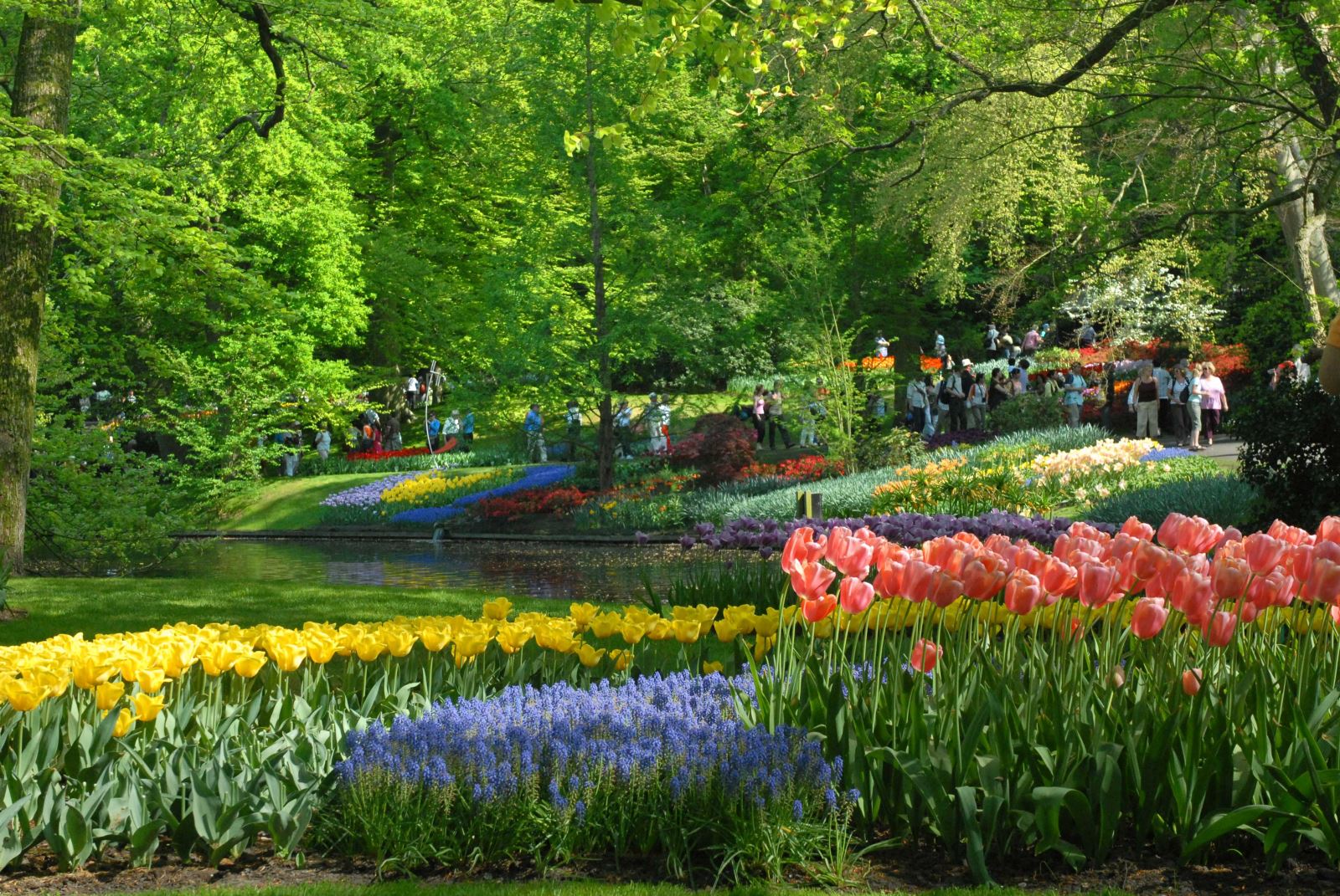 Khám phá "khu vườn cổ tích" Keukenhof đầy hoa Tulip 