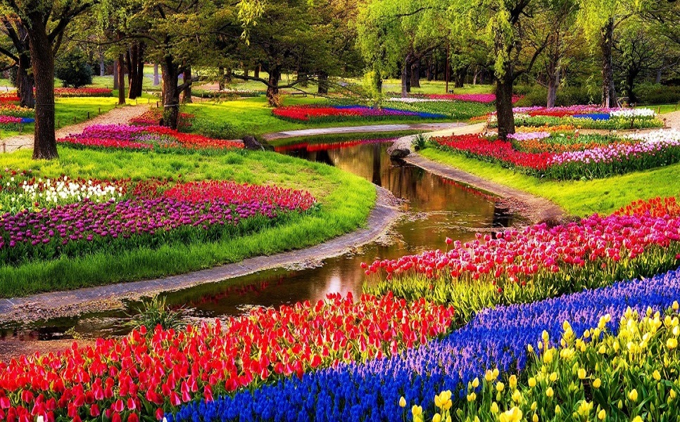 Khám phá "khu vườn cổ tích" Keukenhof đầy hoa Tulip 