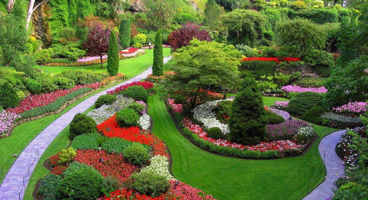 Khám phá "khu vườn cổ tích" Keukenhof đầy hoa Tulip 